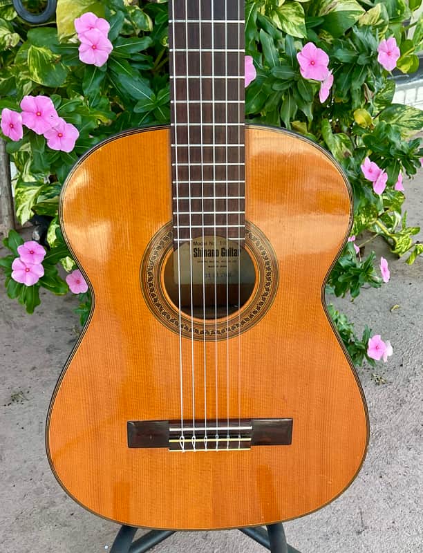 Shinano Model No. 100 1960s RARE Classical Guitar | Reverb