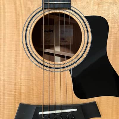 Taylor 317e with V-Class Bracing 2019 - Present - Natural image 3