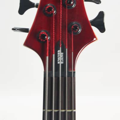 ESP LTD B-205 5 String Bass (2004) image 5