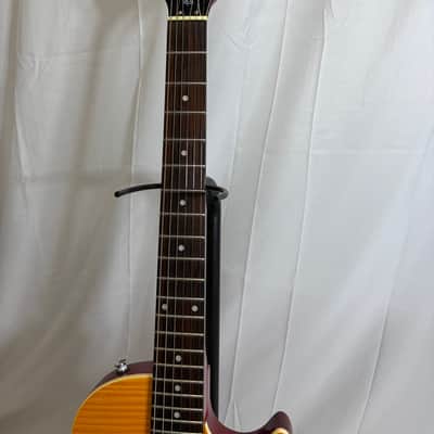 Epiphone Slash AFD Les Paul Special II Outfit - Appetite Amber image 3