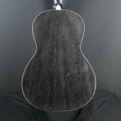 PRS SE P20E Parlor Acoustic Guitar Dog Hair #517 image 14