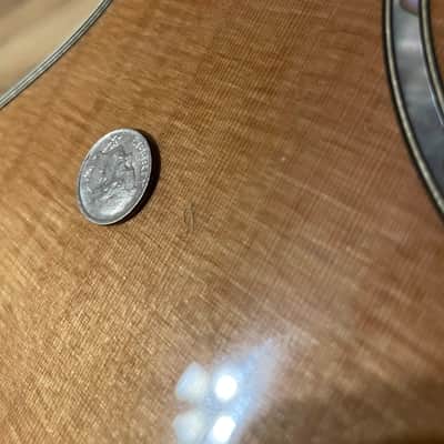 Taylor 514ce LTD Cedar/Blackwood 2022 NAMM (Rare) image 9