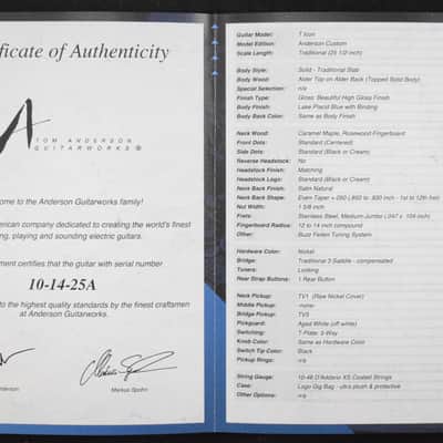 Tom Anderson T Icon Lake Placid Blue with Binding image 10