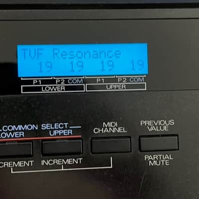 Roland PG 1000 + D-05 image 2
