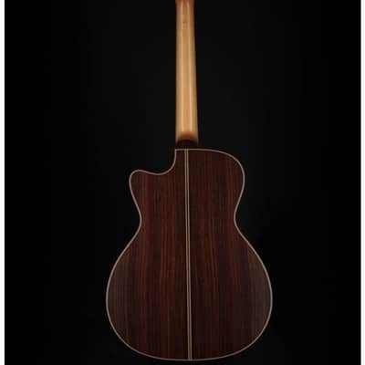 Lakewood M-31CP L.R. Baggs image 5