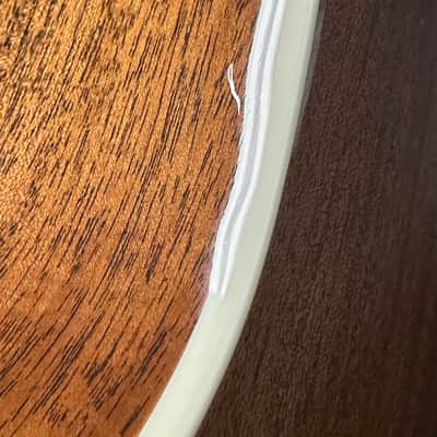 Taylor Gold Label 517e - Sunburst #85029 (NAMM 2026) image 8