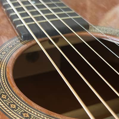 2000 Martin Limited Edition 00-16DBM Deep Body image 14