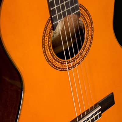 Washburn C5-WSH-A Classical Series Nylon-String Classical Acoustic Guitar image 4
