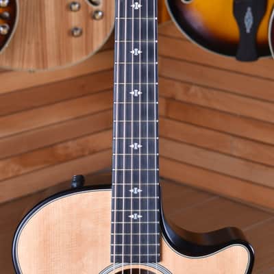 Taylor Builder's Edition 314ce Limited Edition 50th Anniversary Natural image 13