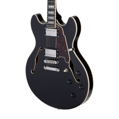 D'Angelico Premier DC w/ Gig Bag , Gtr Stand, Strap, Cable And Xtra Strings!2026 - Black Flake image 6
