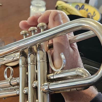 Shires Q10 2019 - Silver Plate - Immaculate image 9