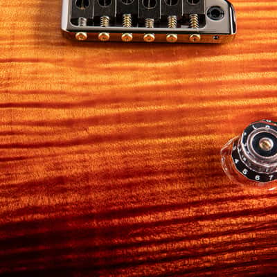 Paul Reed Smith Private Stock Custom 22 Semi-Hollow Electric Tiger Glow image 6