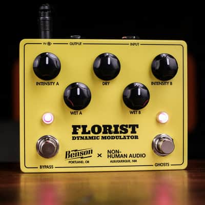 Benson Amps / Non-Human Audio Florist Dynamic Modulator image 4