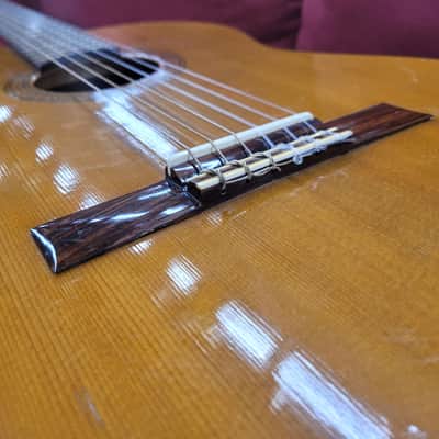 Aria  A555 Classical Guitar Made in Japan - Natural image 6