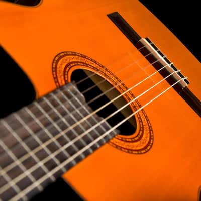 Washburn C5CE-A Classical Series Cutaway Nylon-String Classical Acoustic-Electric Guitar image 3