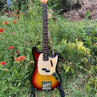 1973 Fender Mustang Bass - Sunburst - Clean Amazing Player - HSC image 20