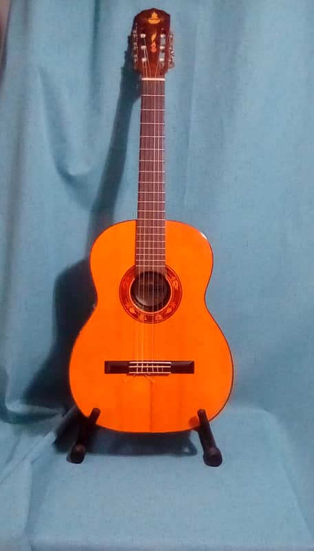 Beautiful Rare DiGiorgio Brazilian Classical Guitar Guarany C2 1979 image 1