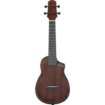 Ibanez AUC14-OVL Concert Ukulele - Concert Ukulele image 2