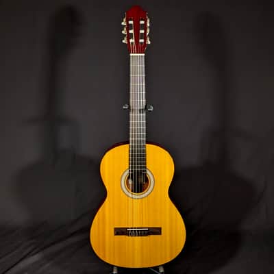 Walden N350 Classical Guitar image 2