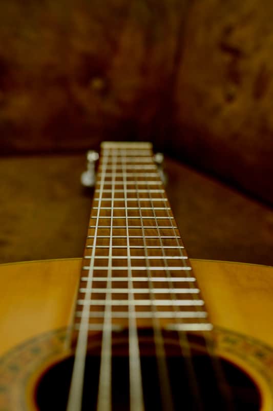 Prudencio Saez 145 | Natural | Reverb