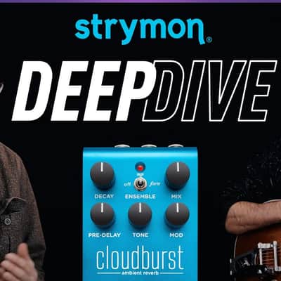 Strymon Cloudburst Reverb image 23