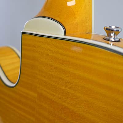 Harmony H620 Single Cut Semi-Hollowbody (~2008) image 12