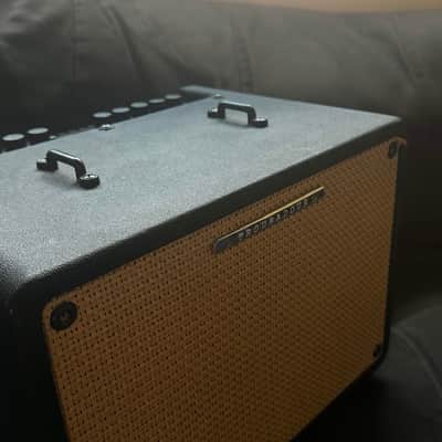 Ibanez T30 30W Acoustic Amp 2010s - Black image 3