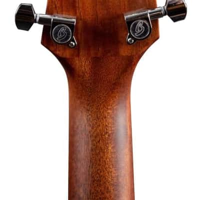 Breedlove Discovery S Concert - Natural image 5