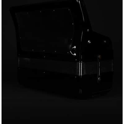 Weltmeister Cantus V 120 Bass Cassotto 5 chörig overhauled used image 11