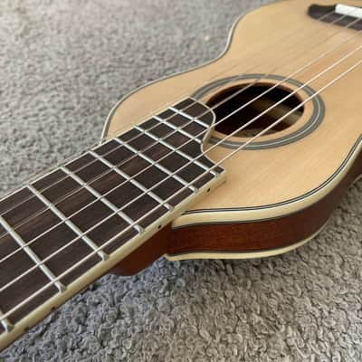 Washburn Rover 34 Inch Travel Guitar, Spruce Top, Rosewood Fingerboard image 10
