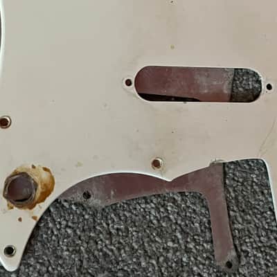 1961 1962 Fender Duo Sonic guitar pickguard white w/shield image 2