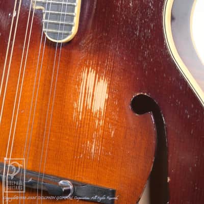 NAO MANDOLIN  <MIJ>F-5 Style 1990s[Pre-Owned] image 13