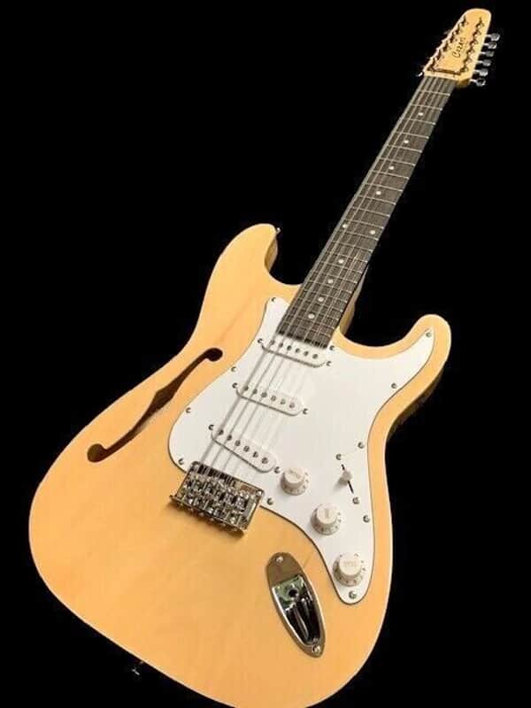 STRAT STYLE SEMI-HOLLOW 12 STRING ELECTRIC GUITAR image 1