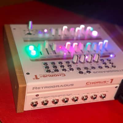 Rare Retrogradus Chorus 1a - Custom One of a Kind image 2