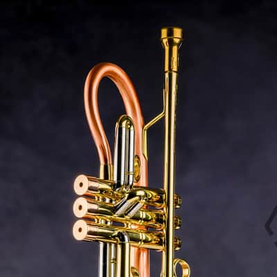 Taylor 46 Balladeer Bb trumpet / flugelhorn hybrid 2020, matte lacquer image 6