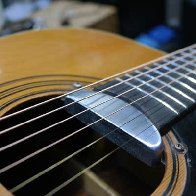 Eko Ranger VI Electroacoustic (Hard Case included) image 23