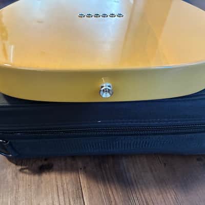 Fender American Professional Classic Telecaster – Butterscotch Blonde – Coastline ‘63 Pickups & Soft Core Case image 12