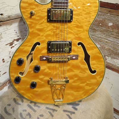 Schecter Jazz Elite Hollowbody Electric Guitar w/Hardshell Case! image 1