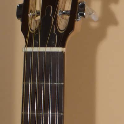 2002 Rubio 12-String Cutaway image 7