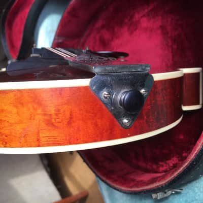 Gibson The Gibson F4 Mandolin 1920 image 12