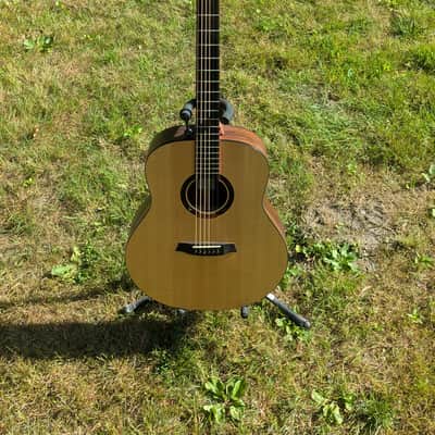 Stevens Custom Guitars Soulwood Jumbo w/Hiscox hardshell case image 15