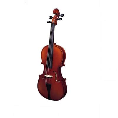 Strunal 220 Student Violin Country Hits Outfit - 1/2 Size European Violin w/Case & Book image 2