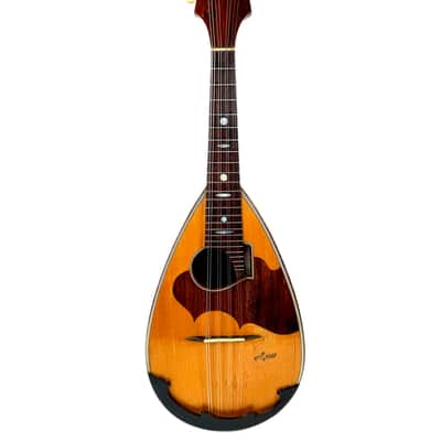 G. Kasermann Concert Mandolin (Apus Mark) 1920’s image 11