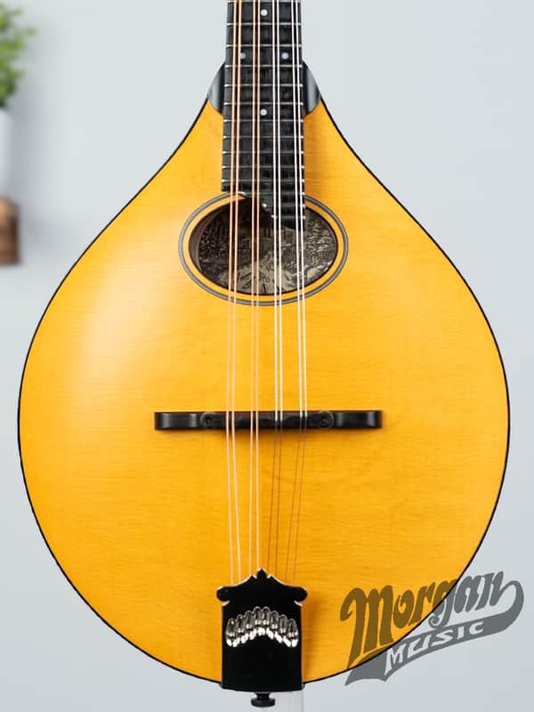 Collings MTO Mandolin- Oval Hole | Reverb