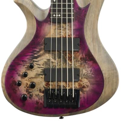 Schecter Riot 5 Electric Bass, Left-Handed (5-String), Satin Aurora Burst image 3