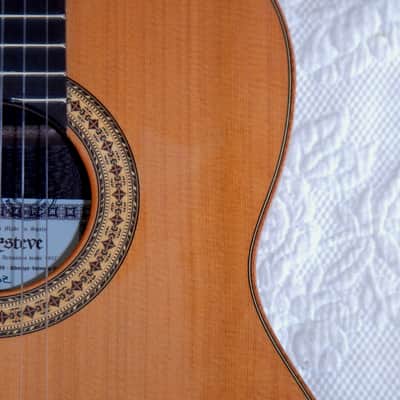 Esteve 3Z classical guitar/ Cedar top / Ziricote back and sides / Made in Spain image 5