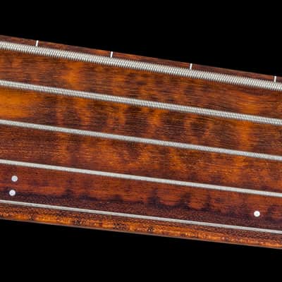 Mayones Patriot MR Fretless 5 Antique Black Snakewood Fingerboard image 10