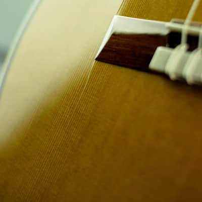 Cordoba Esteso Cedar 2020 Natural Gloss - B-Stock image 10