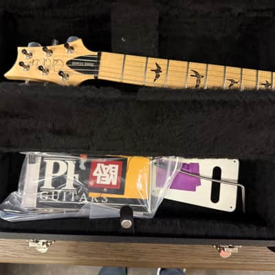 PRS Brent Mason Signature with Maple Fretboard 2013 - 2016 - Frost Blue Metallic image 11