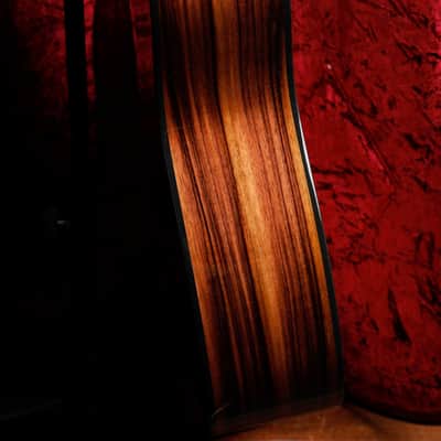 Taylor 214ce Plus Grand Auditorium Acoustic-Electric Guitar image 8